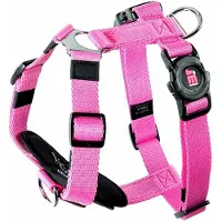 My Family Memopet H Adjustable Hundegeschirr