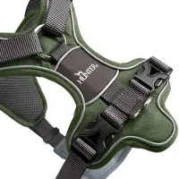 Hunter Geschirr Divo Grün/Grau XS
