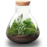 Urbanjngl Diy Terrarium - Sam Xl - 35 Cm