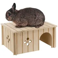 Ferplast 52x31x26 Cm Nagetierhaus