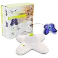All For Paws AFP Interactive Flutter Bug