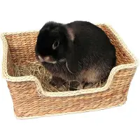 Rosewood Chill 'N' Snooze Nagetierbett