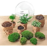 Urbanjngl Diy Terrarium - Kuppel Xl - 30 Cm