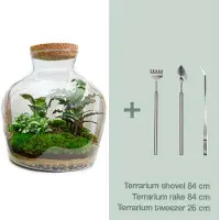 Urbanjngl Diy Terrarium - Fat Joe - 30 Cm