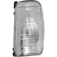 BLIC Blinker im Spiegel 5403-03-2391106P