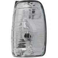 MAGNETI MARELLI Blinker im Spiegel 182201561600