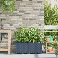 Prolenta Maison Exclusive - Garten-Pflanzgefäß 2 Stk. Grau 80 x 40 x 37,5 cm PP
