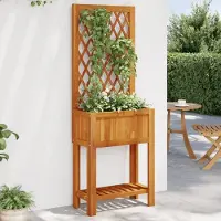 Prolenta Maison Exclusive - Pflanzkübel mit Rankgitter & Ablage 55x29,5x152 cm Akazienholz