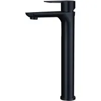 INF Elegante und stilvolle Badezimmerarmatur aus Edelstahl 304 Schwarz