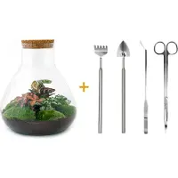 Urbanjngl Diy Terrarium - Sam Xl Rood - ↕ 35 Cm
