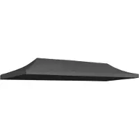 vidaXL BEI CLORIS Partyzeltdach 3x6 m Anthrazit - Pavillons & Partyzelte Neu5909310 1parcel