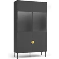 Feldmann-Wohnen Vitrine Mond anthrazit 106 / 40 / 187cm, ohne Dekoration und Beleuchtung