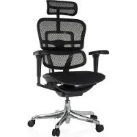 Hjh OFFICE Luxus Chefsessel ERGOHUMAN ULTRA F GEN2 Ergonomischer Bürostuhl mit Armlehnen (höhenverstellbar) Netzstoff Drehstuhl für Büro, Zuhause