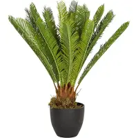 Hjh OFFICE CYCAS | Kunstpflanze - Kunstpflanze Grün