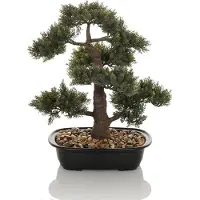Hjh OFFICE Bonsai