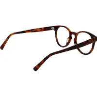 Funky Buddha Brillenfassung FBD1060 002 50