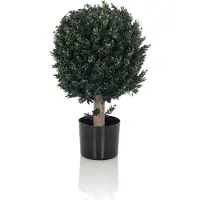 Hjh OFFICE Buxus