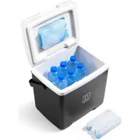 Brisby Kühlbox - 13L - Schwarz - 40 Stunden Isolation - Inkl. 2 dicke Kühlakkus von 450ml - Neues Design mit Kühlakku im Deckel verriegelt