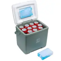 Brisby Kühlbox - 13L - Grün - 40 Stunden Isolation - Inkl. 2 dicke Kühlakkus von 450ml - es Design mit Kühlakku im Deckel verriegelt