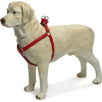 Beeztees - Hundegeschirr - Mac Kunstleder - rot - 60-100 cm