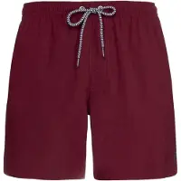 Protest DAVEY beachshort