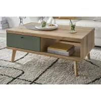 Furn.Design Couchtisch "Juna" in Salbei und Eiche Beistelltisch skandinavisch 107 x 67 cm