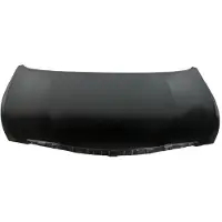 BLIC Motorhaube 6803-00-3170280P