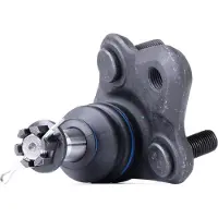 RIDEX Traggelenk Vorne für TOYOTA Corolla XII Kombi (E210) 2462S0098