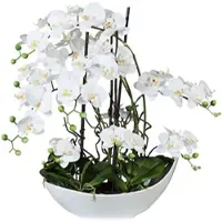 Creativ Green künstliche Pflanze Phalaenopsisarrangement, 68cm, "Real Touch"