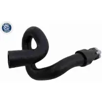 VAICO Kühlerschlauch Wasserschlauch für FORD Focus II Schrägheck (DA, HCP, DP) V25-2327