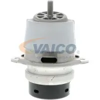VAICO Motorlager Hinten für VW Touareg (7P5, 7P6) V10-2651