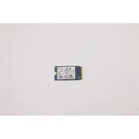 Lenovo SSD - 256 GB - intern - M.2 2242 - PCIe