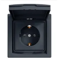 Schneider Steckdose SCHUKO IP44 einfach mit Rahmen, anthrazit Asfora EPH3100371
