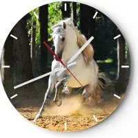 ARTTOR Wanduhr - Rund - Glasuhr - Staub Emotionen Pferd Natur - 30x30cm - Schleichendes Uhrwerk - Lautlos - zum Aufhängen bereit - Dekoration Modern - Wanddekoration aus Glas - C3AR30x30-2181