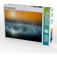 CALVENDO Puzzle Schwanensee bei Teublitz 1000 Teile Puzzle quer | 1000 Teile Lege-Größe 64x48cm Foto-Puzzle für glückliche Stunden