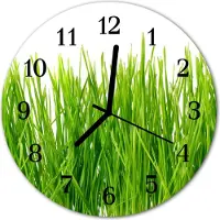 Tulup Glasuhr Wanduhr Küchenuhr Echt-Glas 30fi cm Gras grün