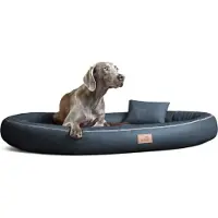 Tierlando Orthopädisches Hundebett GILBERT ORTHO Soft LATEX Velours Kunstleder - Größe: 85x65cm | Farbe: 02 Graphit