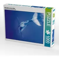 CALVENDO Puzzle Schweben wie ein Adler 1000 Teile Puzzle hoch | 1000 Teile Lege-Größe 64x48cm Foto-Puzzle für glückliche Stunden