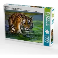 CALVENDO Puzzle Ein Motiv aus dem Kalender Tiger - die leisen Jäger des Dschungels | 1000 Teile Lege-Größe 64x48cm Foto-Puzzle für glückliche Stunden