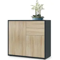 Vladon Sideboard Ben, Germany, Kommode mit 2 Türen und 2 Schubladen, Schwarz matt/Eiche Sägegrau (79 x 74 x 36 cm)