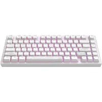 Dark Project Aluminum Terra Nostra (Weiß) Mechanische Gaming-Tastatur 75% (US English) [ANSI]