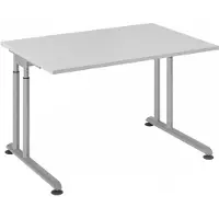 Hjh OFFICE PRO ZENO 12 S | 120x80 - 120 x 80 Grau/Silber h?henverstellbar
