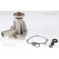 TRISCAN Wasserpumpe 8600 27843