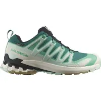 Salomon SHOES XA PRO 3D V9 GTX W Lake/Electg/Van 000