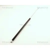 TRISCAN Gasfeder, Koffer-/Laderaum 8710 38207