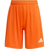 Adidas Shorts für Kinder Entrada 26