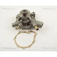 TRISCAN Wasserpumpe 8600 23038
