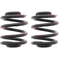 KYB Fahrwerksfedern-Set hinten Schraubenfeder Ø 146 mm für u.a. AUDI TT
