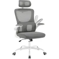 Woltu Bürostuhl ergonomisch, Schreibtischstuhl Netzstoff, höhenverstellbar : Grau Farbe: Grau