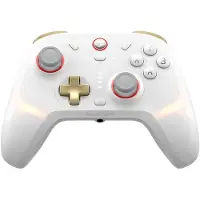 GameSir Cyclone 2 wireless controller PC weiß